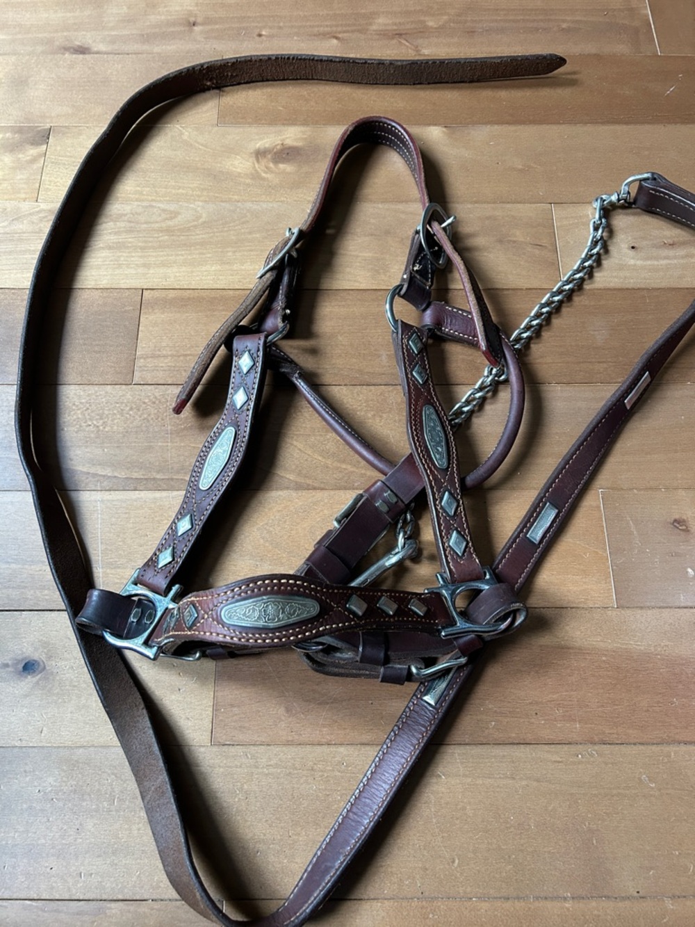 Silver leather horse show halter and lead